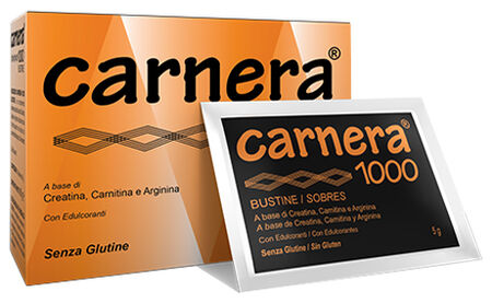 CARNERA 1000 18 BUSTINE image not present