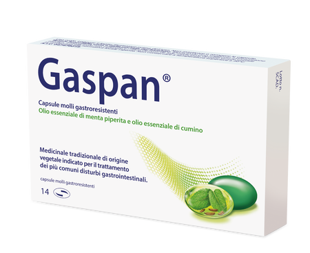 GASPAN*14 cps molli gastrores 90 mg + 50 mg image not present