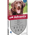 ADVANTIX SPOT ON*soluz 4 pipette 4 ml 400 mg + 2.000 mg cani da 25 a 40 Kg image number null