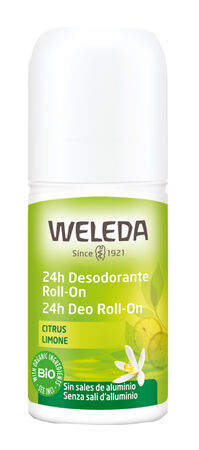 24H DEO ROLL-ON LIMONE 50 ML image not present