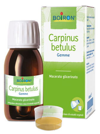 CARPINUS BETULUS MACERATO GLICERICO 60 ML INT image not present