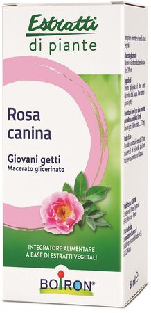ROSA CANINA MACERATO GLICERICO 60 ML INT image not present
